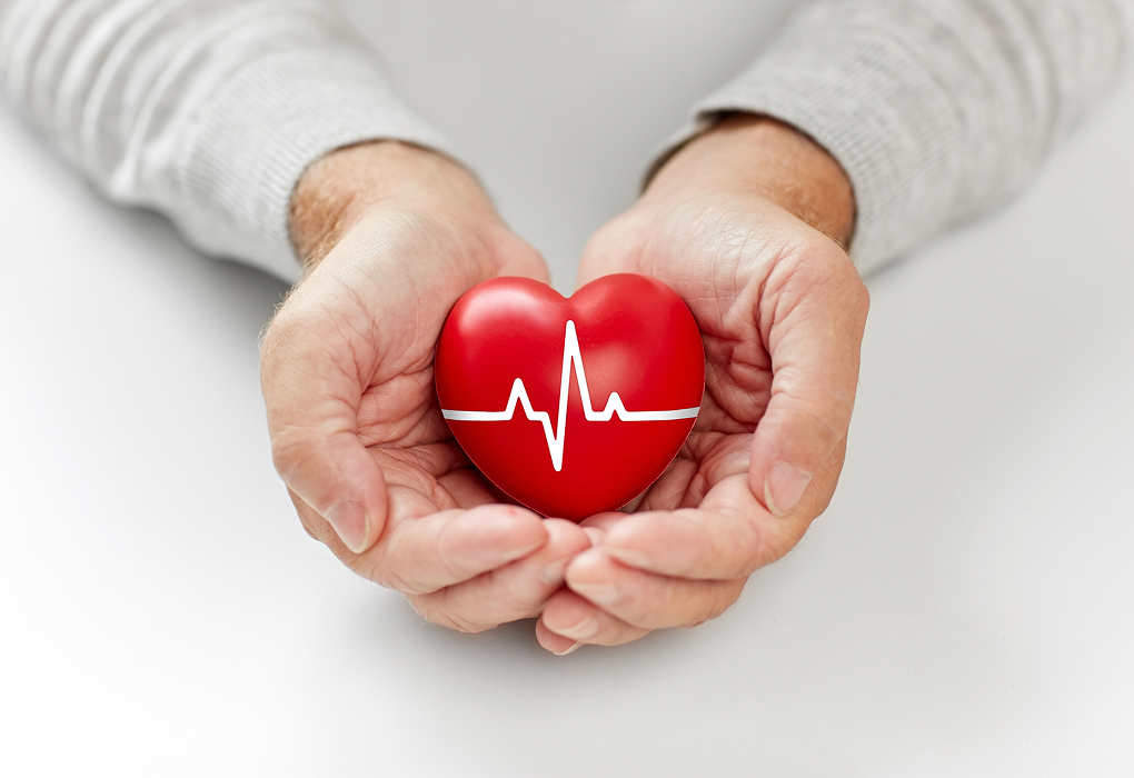 hand holding a love heart shape with a p wave on it