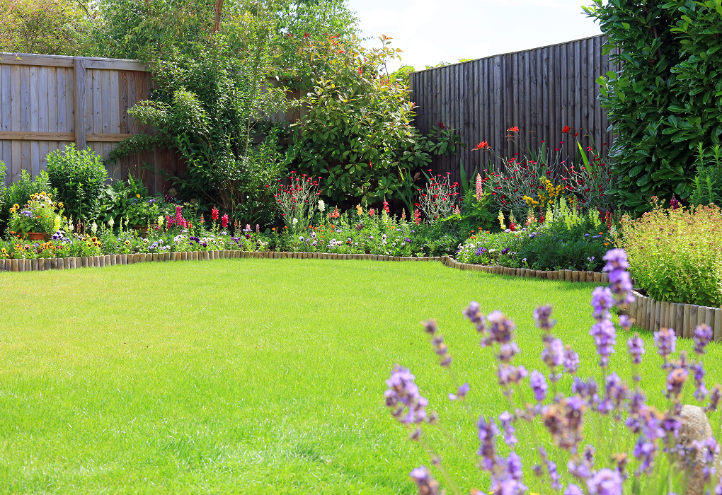 backyard with a fence around it and green grass and flowers and bushes