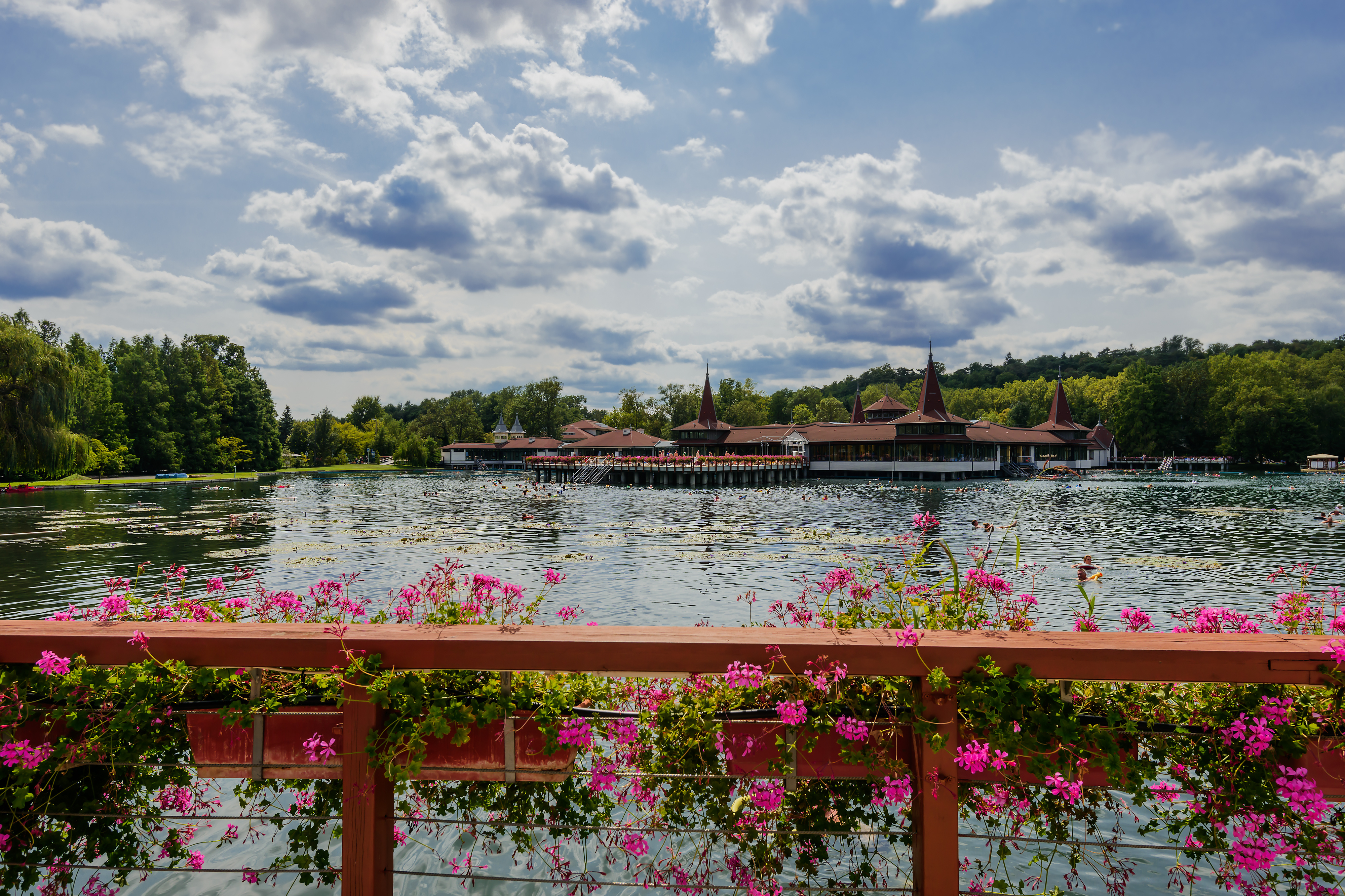 fence with pink flowers over it looking out onto lake hévíz with a spa complex