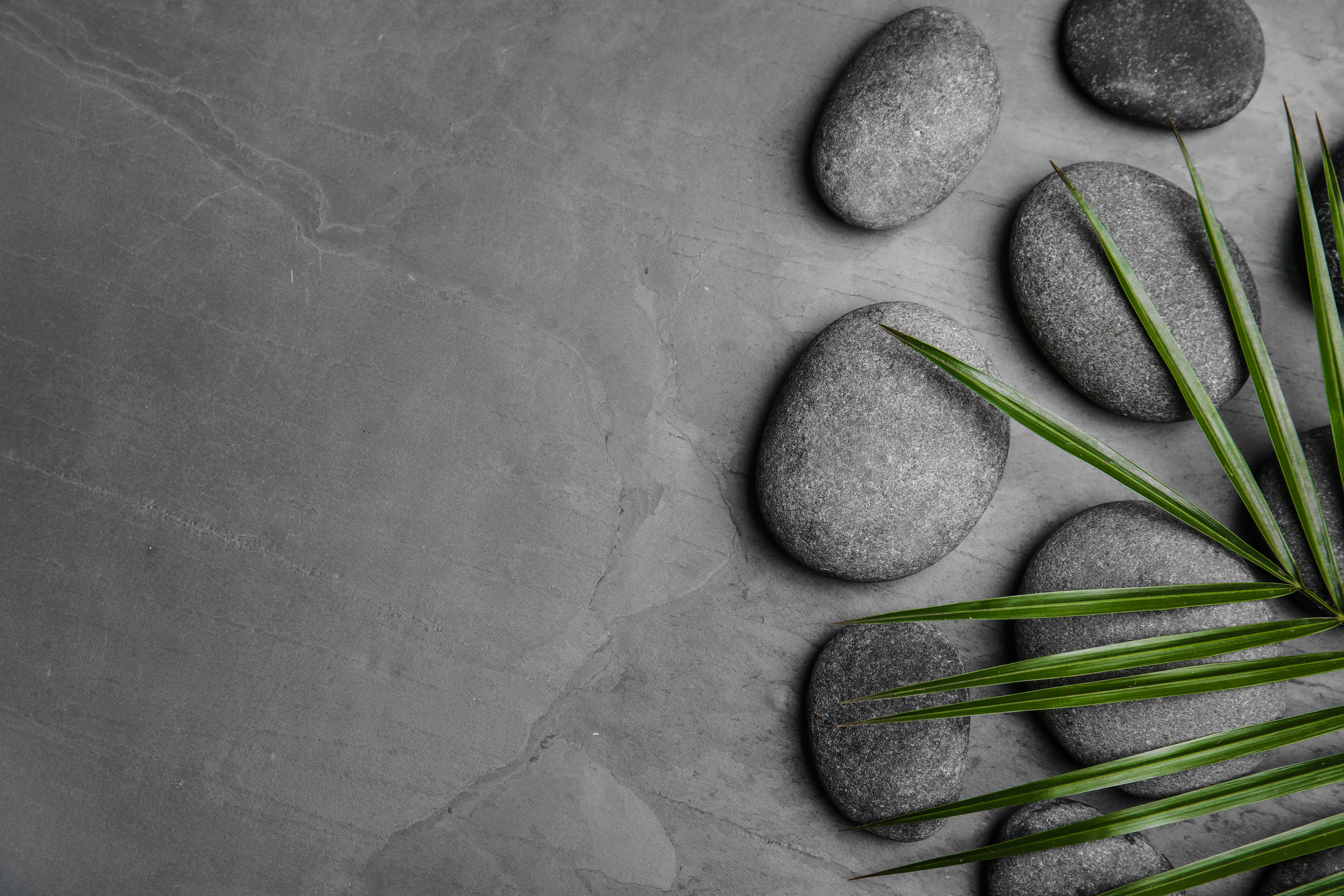 grey stone ground with 6 stone pebbles and some green leaves