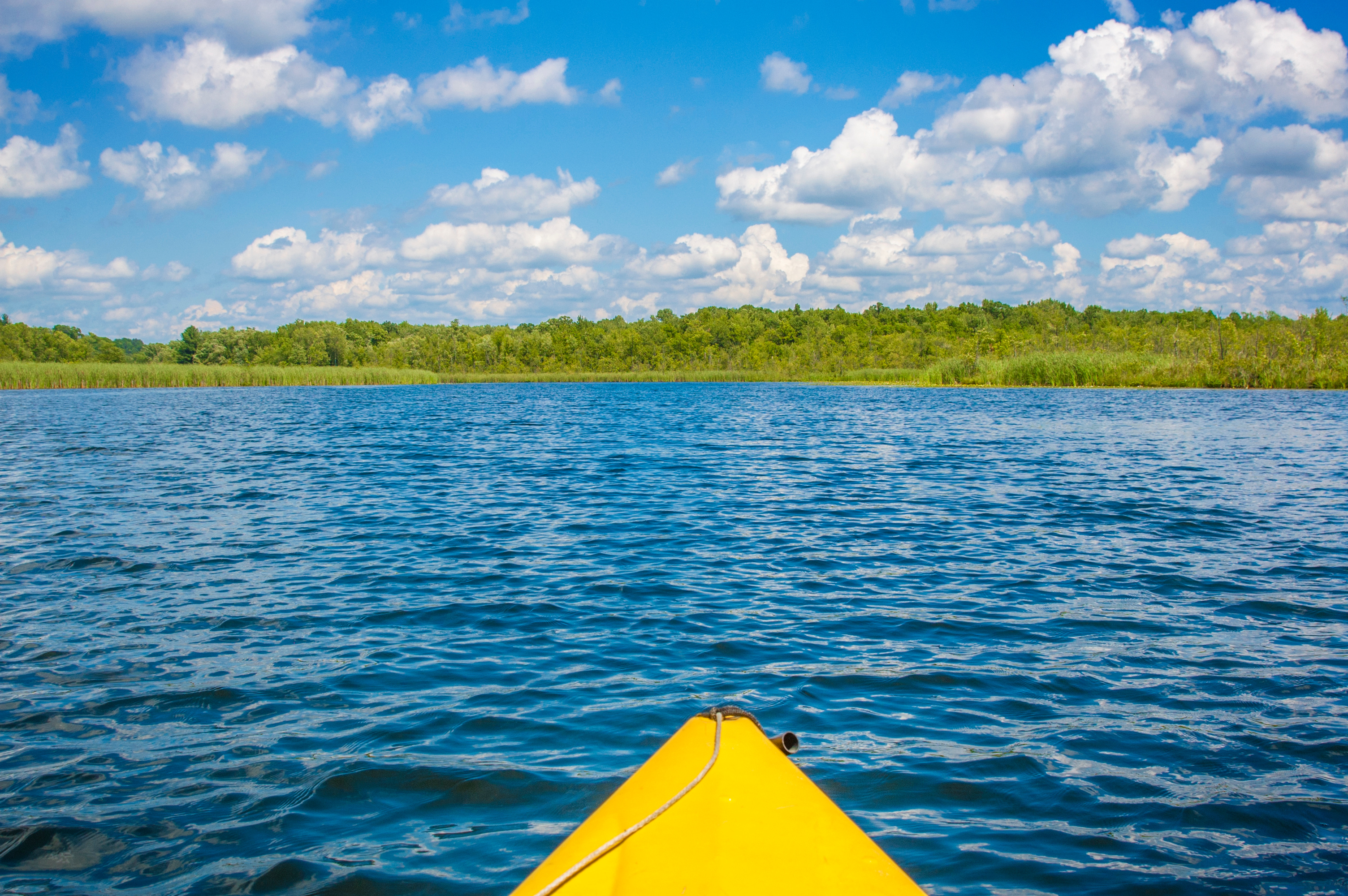 saratoga lake springs kayak upstate New York paddle