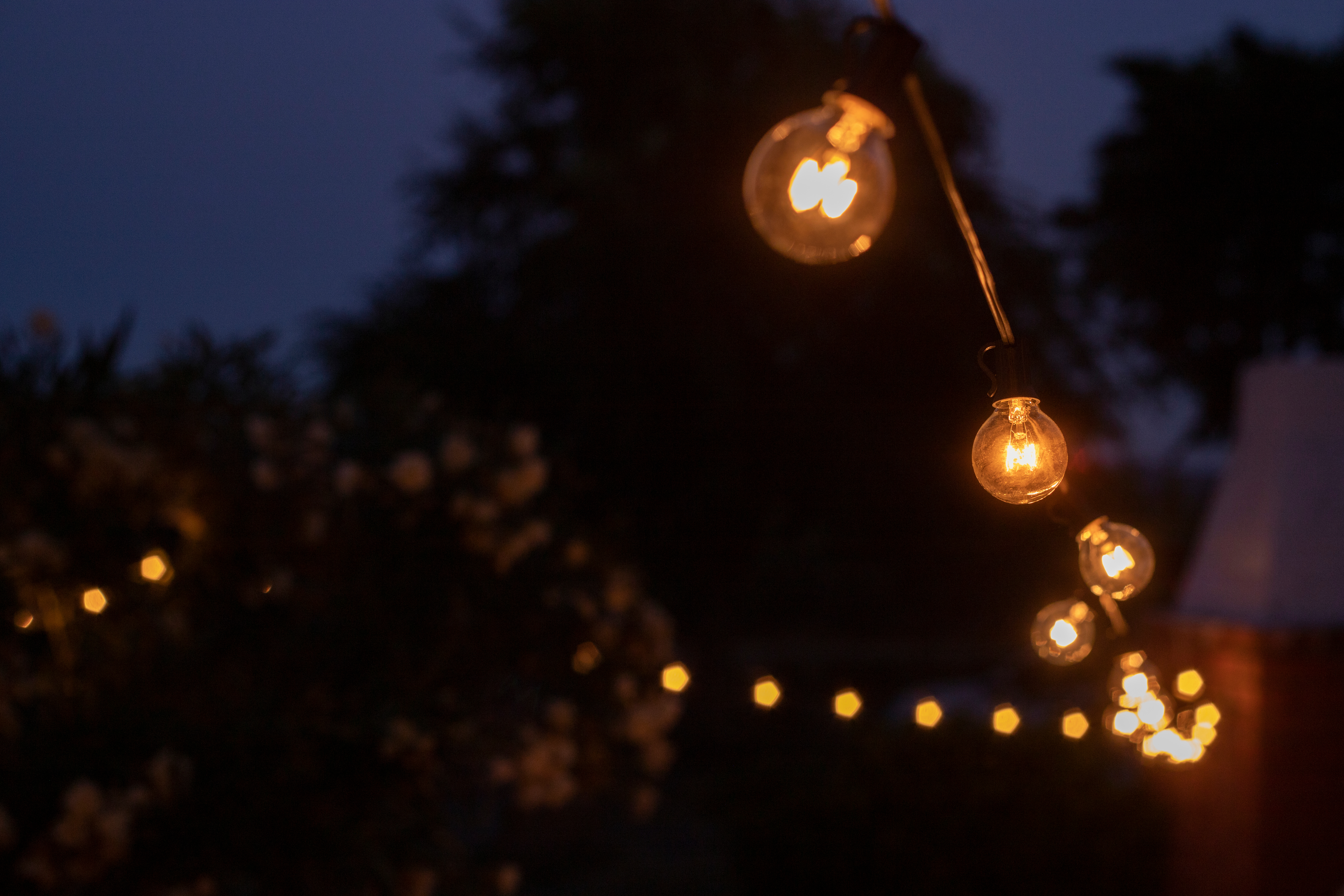 string lights outside with a dark background
